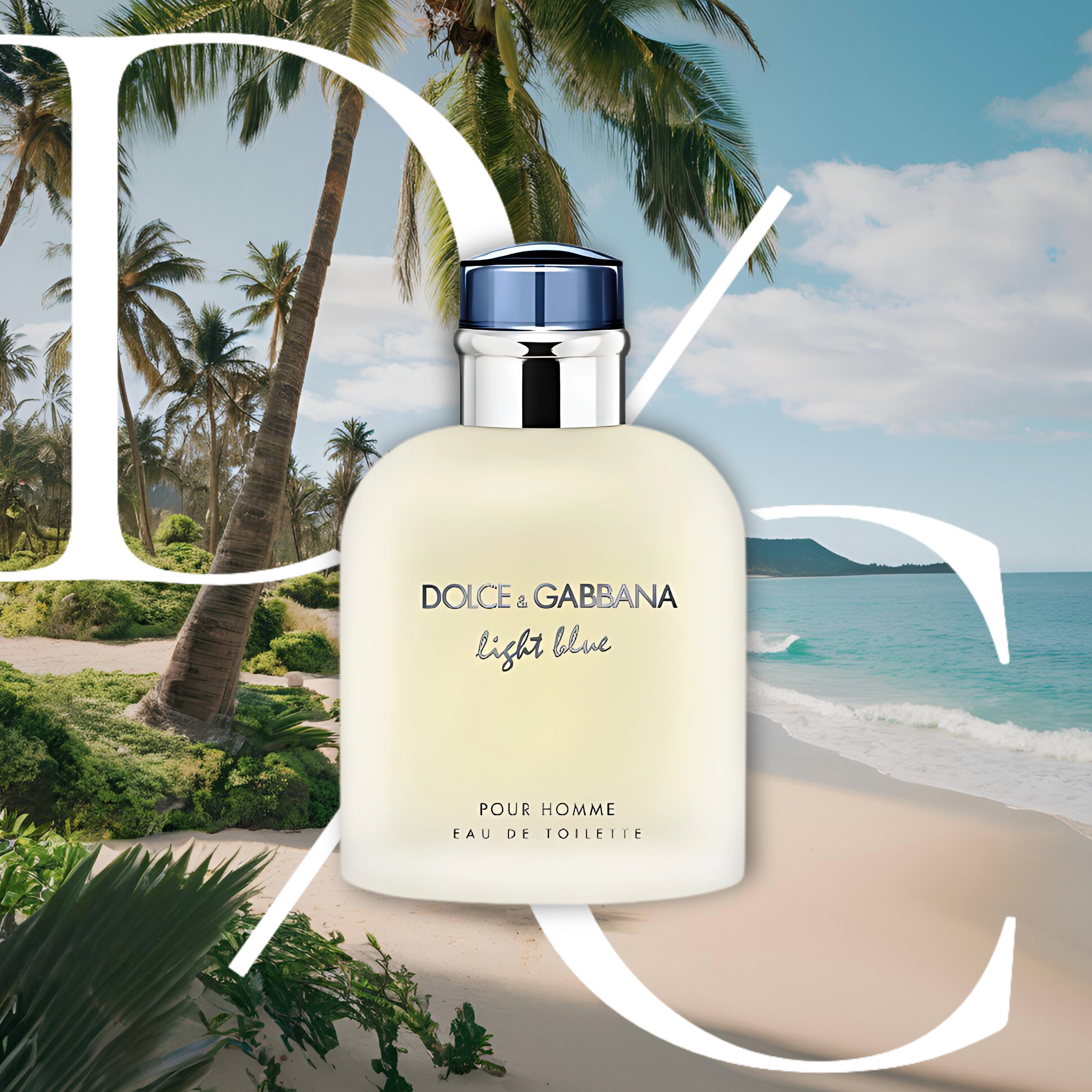 Dolce Gabbana Light Blue Pour Homme